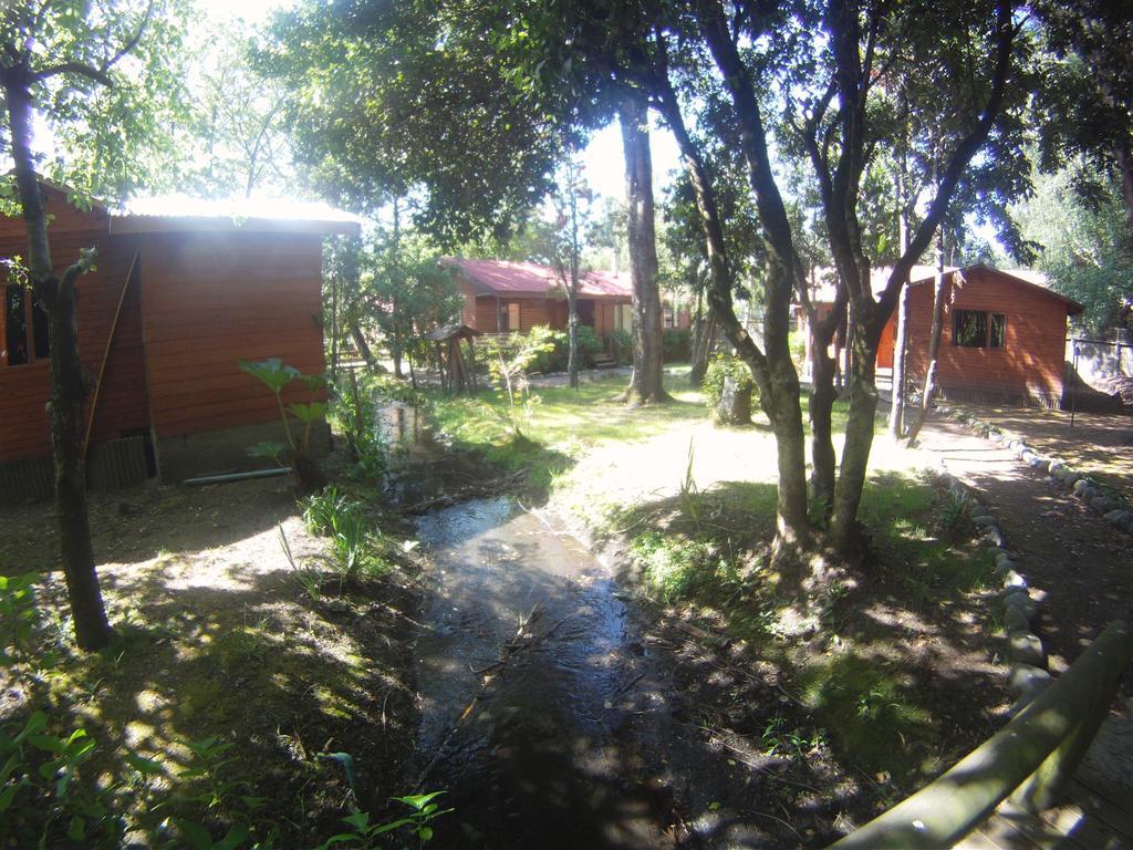 Cabanas Santa Maria Pucon Exterior photo